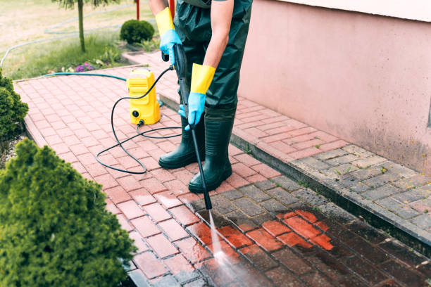 Best Gutter Cleaning  in Milton, DE